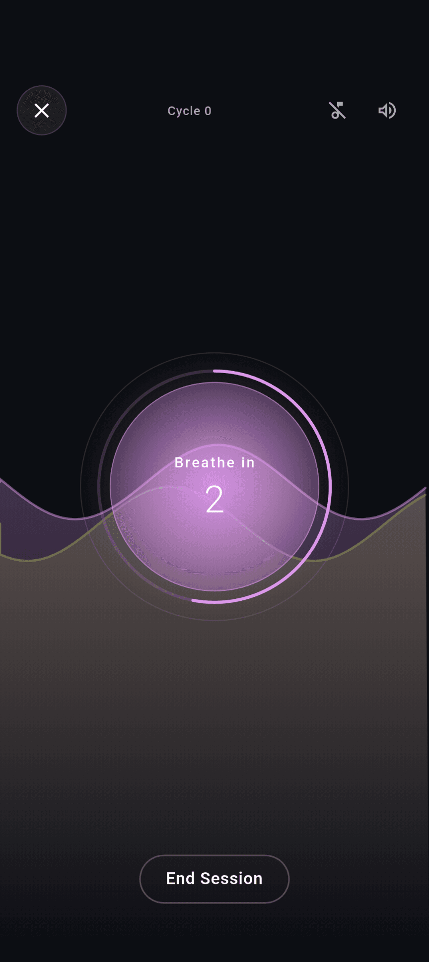 Stillnest breathing exercise with a Breathe in cue and circular phase indicator